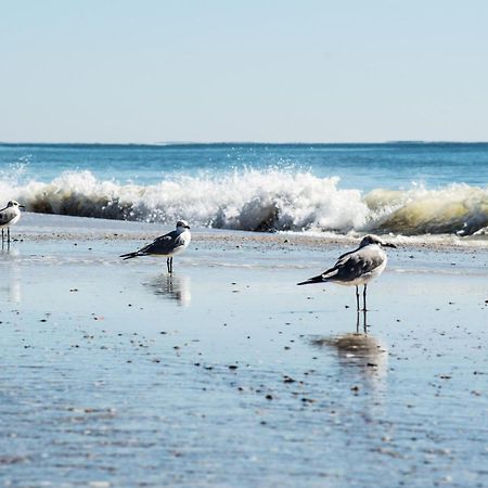 Direct Gulf Views With Deeded Beach Access Gulf Shores Buitenkant foto